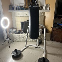 Everlast Stand And Punching Bag With Gloves