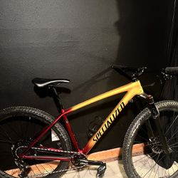 Specialized Epic Hardtail