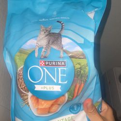 Ragdollll Siammeeesseee Mixxx Kittteennn ad0pțiòn