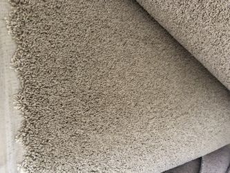 Carpet 12x25