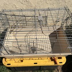 Rodent Cage