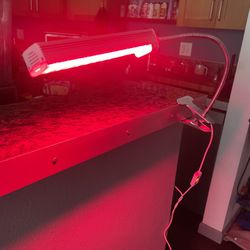 Maineng Red Light Therapy with Timer