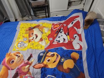 Full Size Doble Side  Conforter 