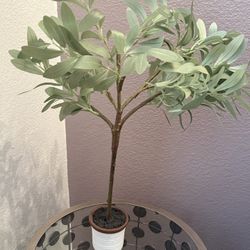 Artificial Plant Decor 