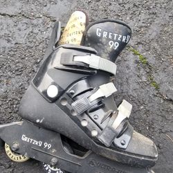 Roller Blades 