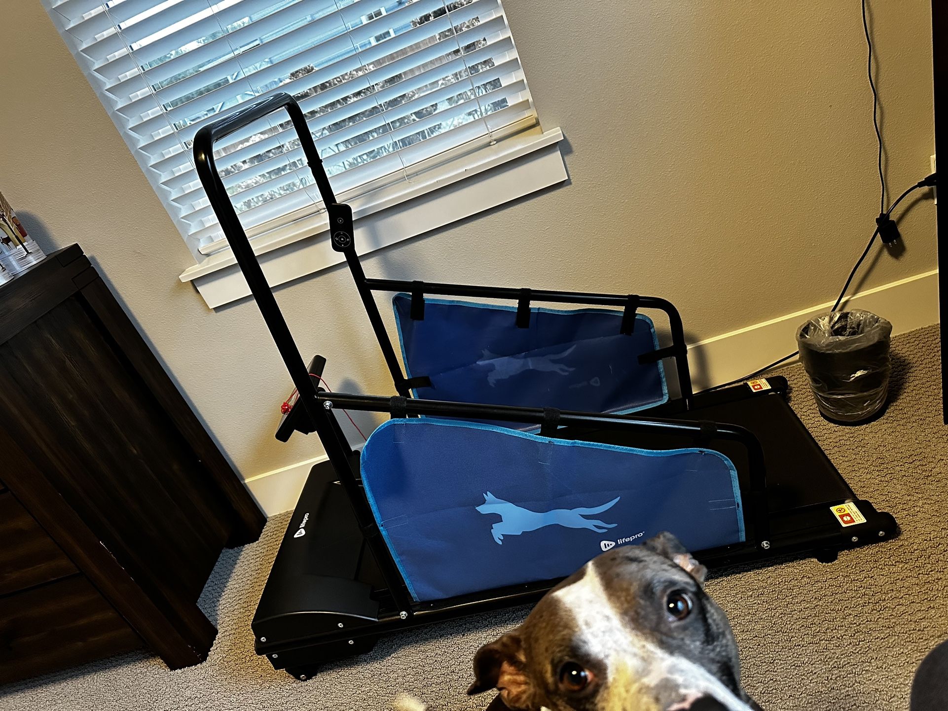 Life pro PawRunner Dog Treadmill for Small And medium dogs Up To 130lbs