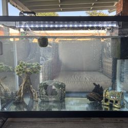 Fish Tank (fish Included)