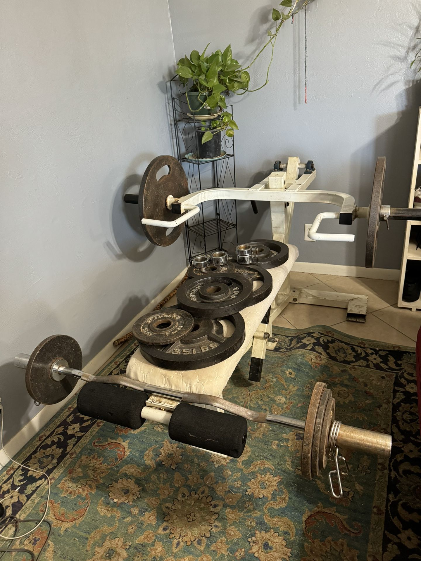 Workout Machine, Free Weight