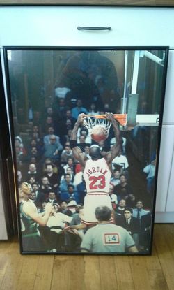 Professional Photograph & Frame 20” x 30” Black Matte Finish Aluminum Metal Frame. Photograph included.