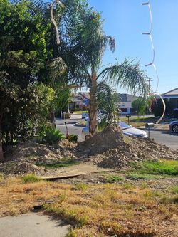 Free dirt! Take as much as you want!