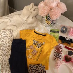 Toddler Clothing Lot