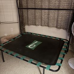 Exercise Trqmpoline