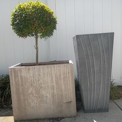 2 Natural Modern Pots