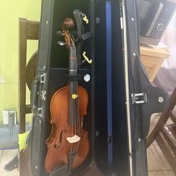 Viola