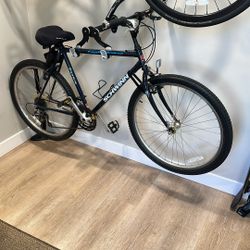 Schwinn Bicycle (21-speed)