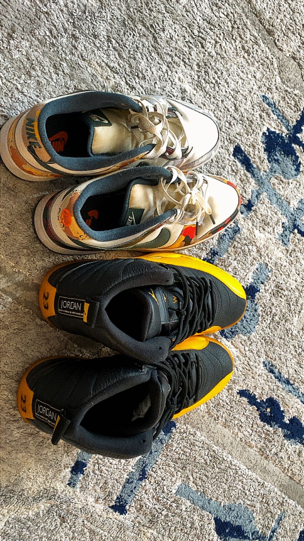 Jordan 12s & Nike Dunks