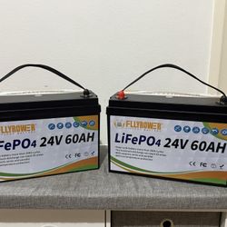 2× 24V 60Ah LiFePO4 Batteries + Chargers