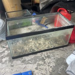 Large Turtle Tank