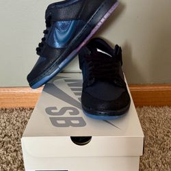 Nike SB Dunk Low X Bluetile Skate Shoes - M12/W13.5