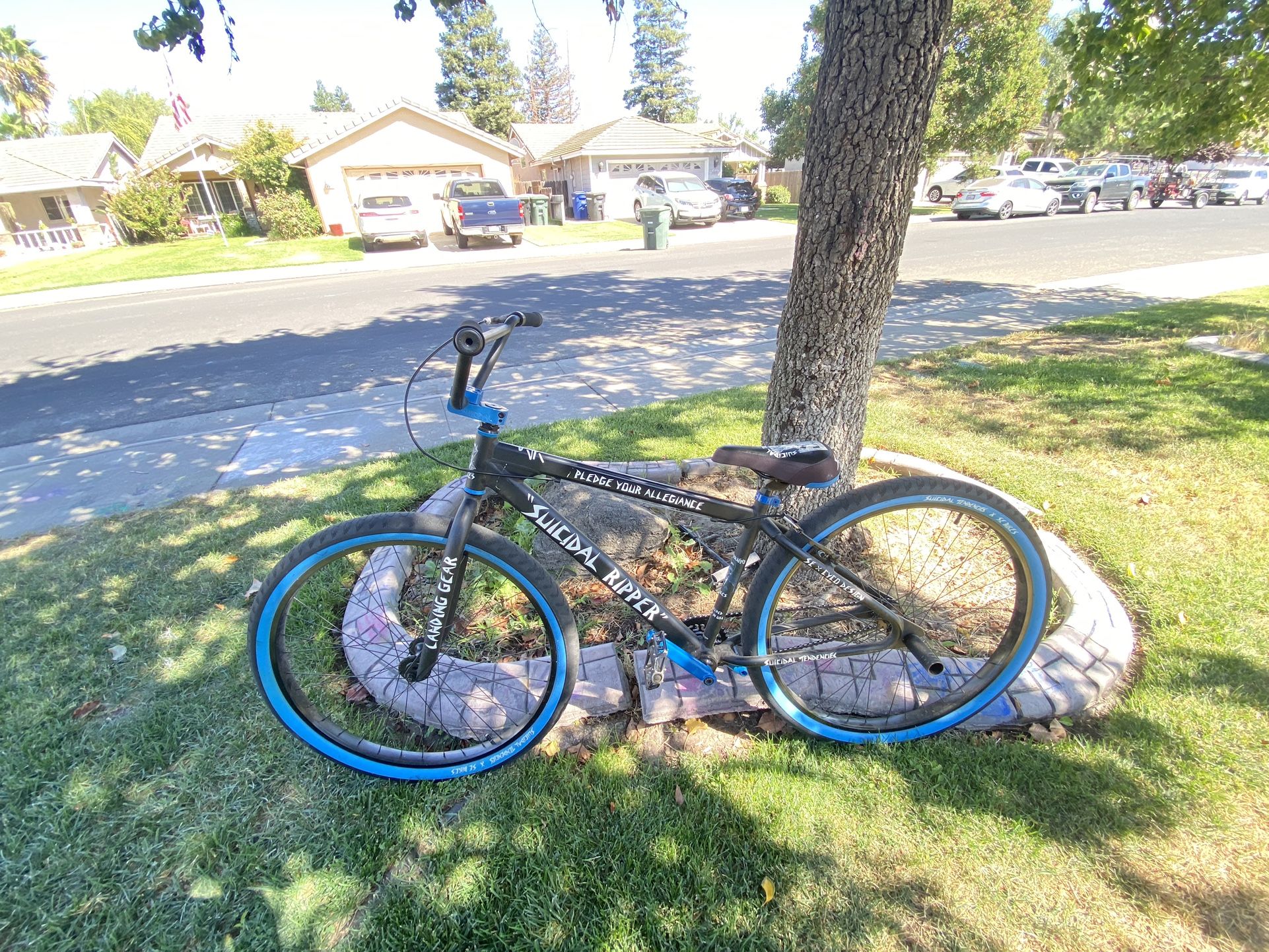 Limited Edition Suicidal Ripper OBO