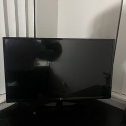 LG Monitor 