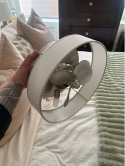 Ceiling light and fan combo