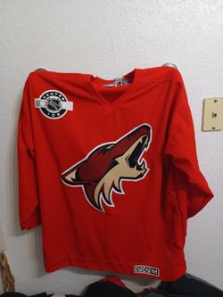 Phoenix Coyotes (Vintage Logo) Hockey Jersey.