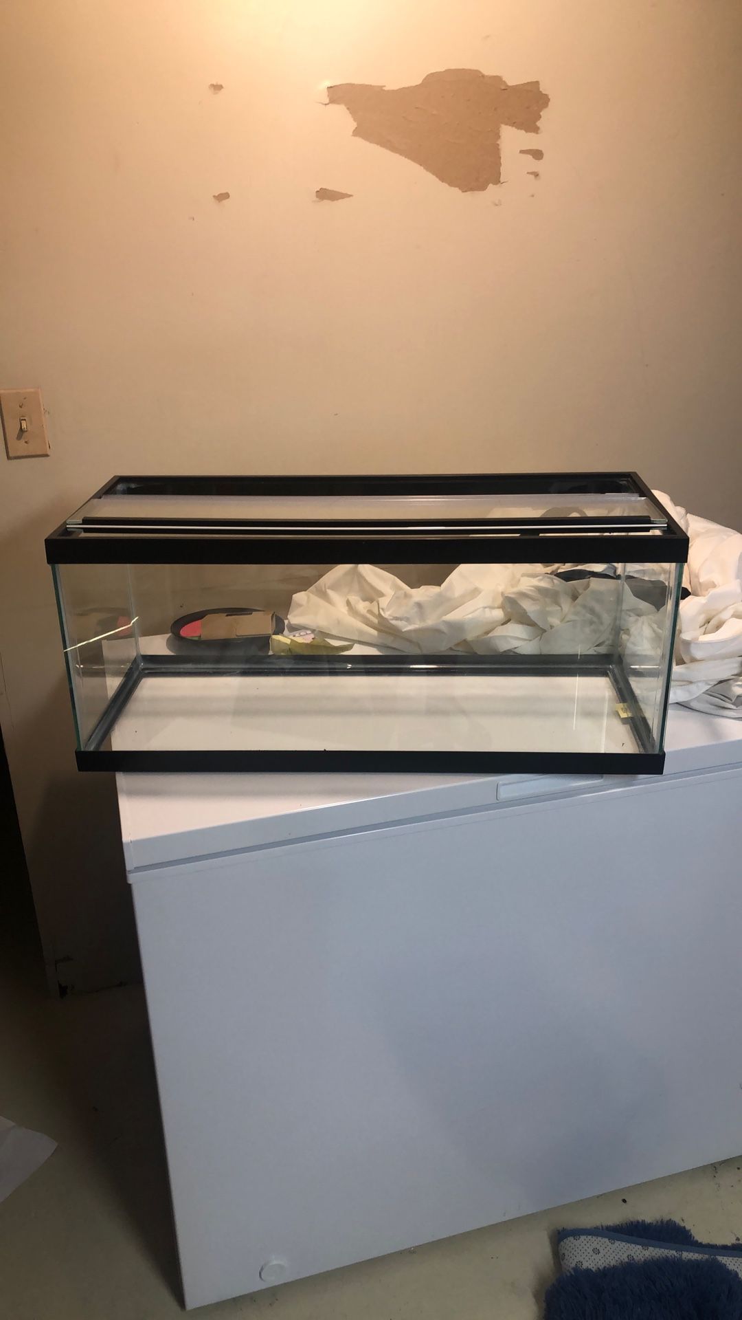 Fish Tank