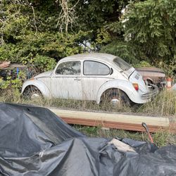 1975 Volkswagen Beetle