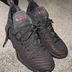 LeBron 16 Sz 9.5