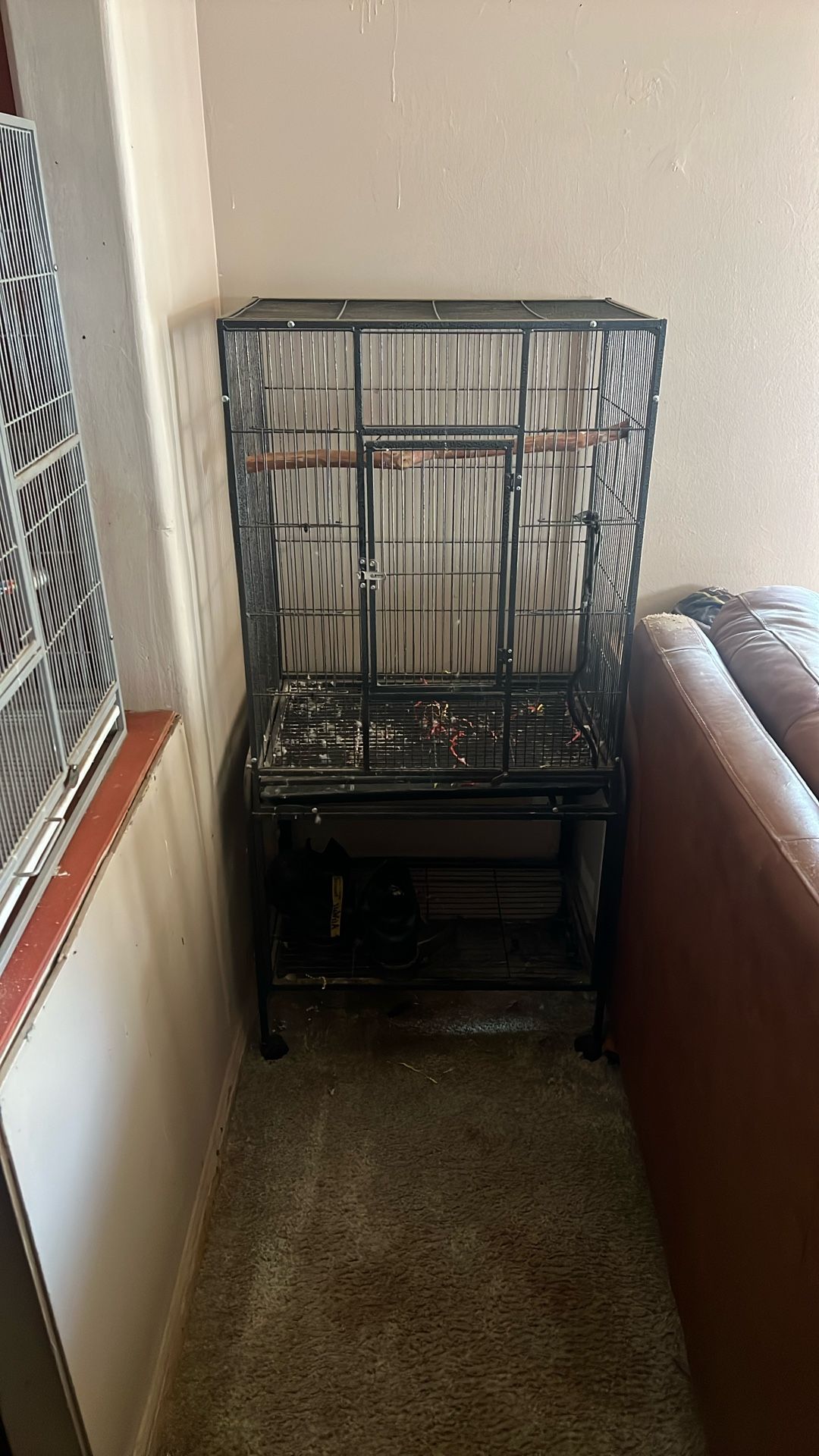 Bird Cages