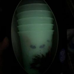 Starbucks Glow In The Dark Hot Cups