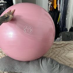 Pregnancy Yoga Ball 