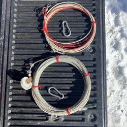 100 ft Dog Run With 30 Ft Tie.