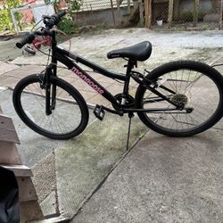 Mongoose Excursion Mountain Bike