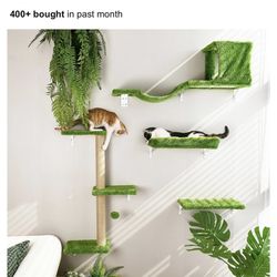 Cat Wall Furniture 