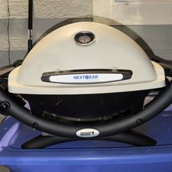 Weber Q 1200 portable gas grill.  