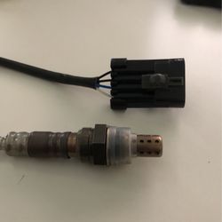 Ogygen Sensor