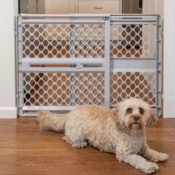 Dog Gate