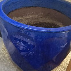 Large tree/ plant pot 17"×17" SALE