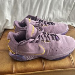 Nike LeBron 21 Freshwater Mens Size 12 Purple Basketball Leather Shoes Sneakers