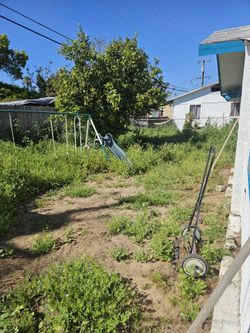 Yard
