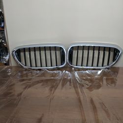 BMW Kidney Grills NEW