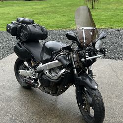 2005 Honda CBR 600 Frankenstein