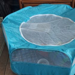 New Guinea Pig Or Rabbit Supplies