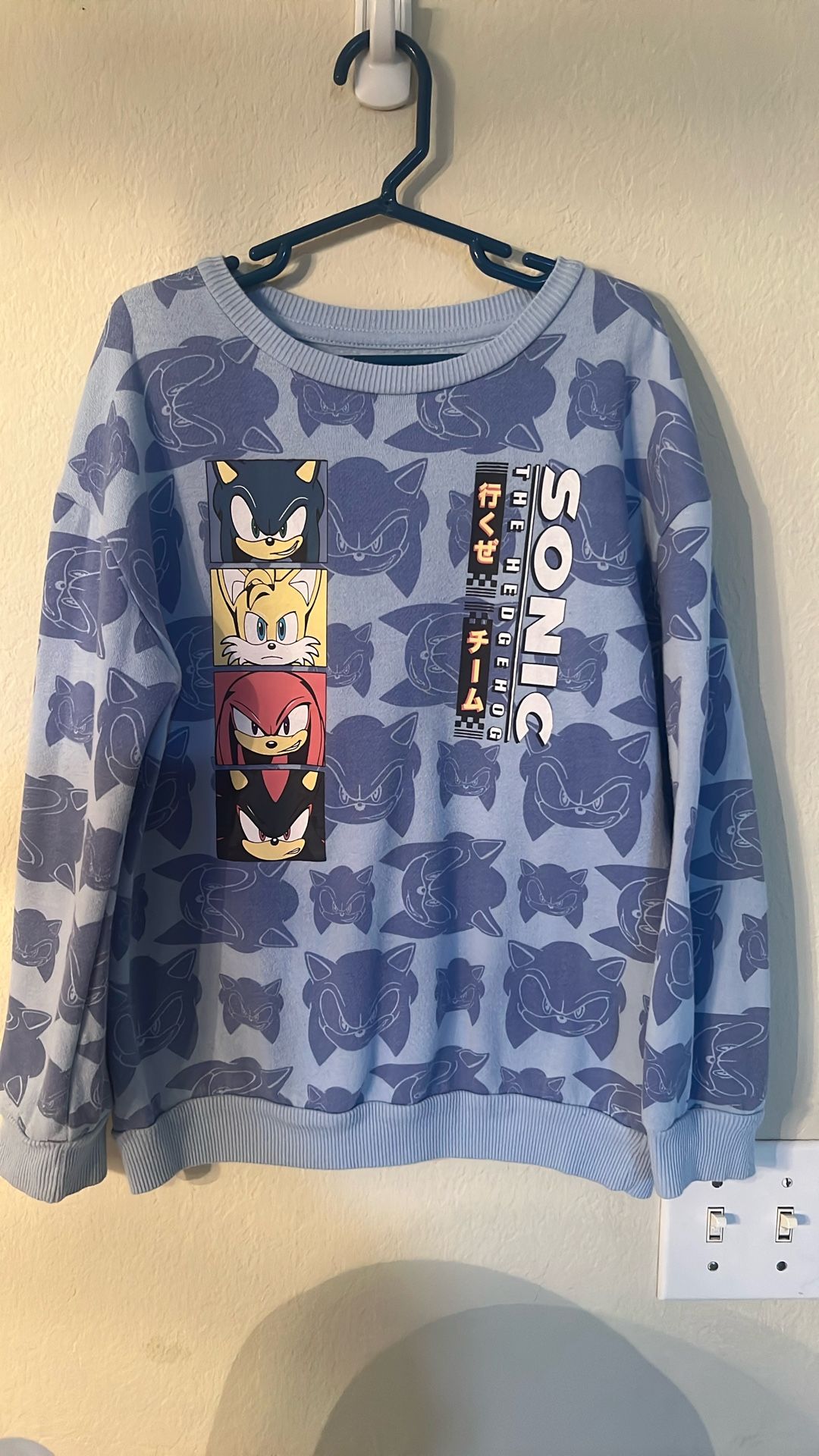 Sonic The Hedgehog Pullover- Youth Medium
