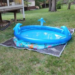 Swimming Pool (Dolphin Spout Shoots Water)