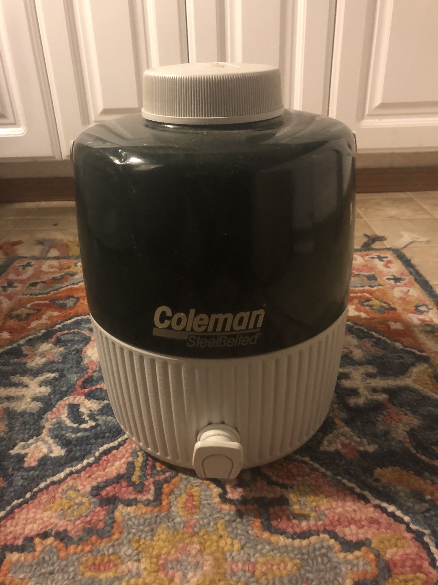 Vintage coleman cooler (perfect condition)