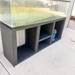 120 Gallon Aquarium 