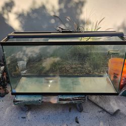 77 Gallon Aquarium With LED Light 